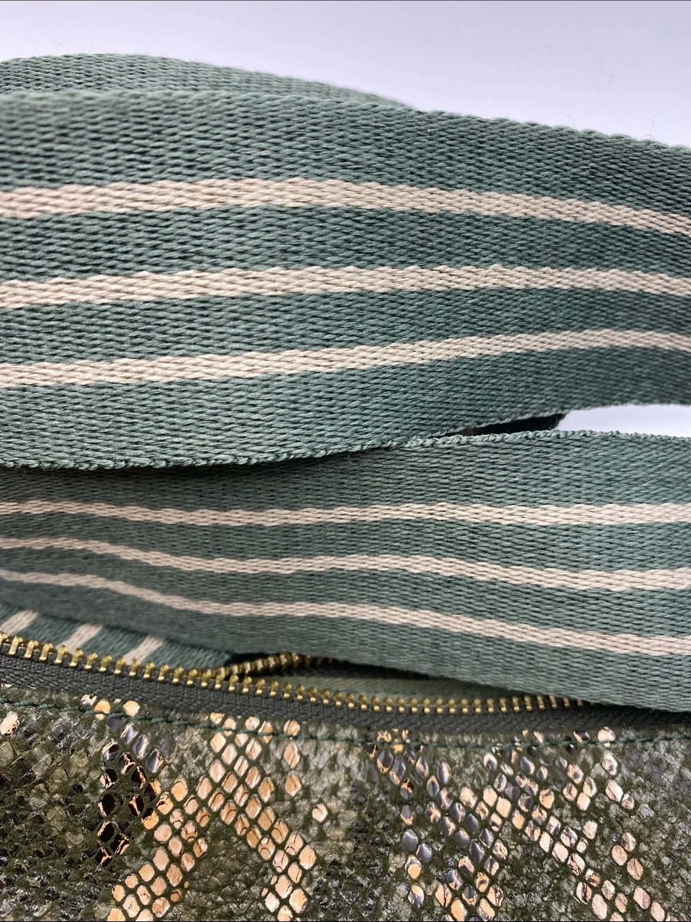 Anthropologie Green Metallic Snake-Print Hobo with Striped Strap